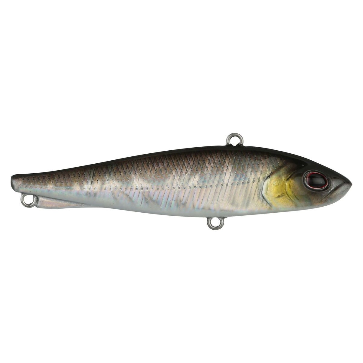 Berkley Ripfish