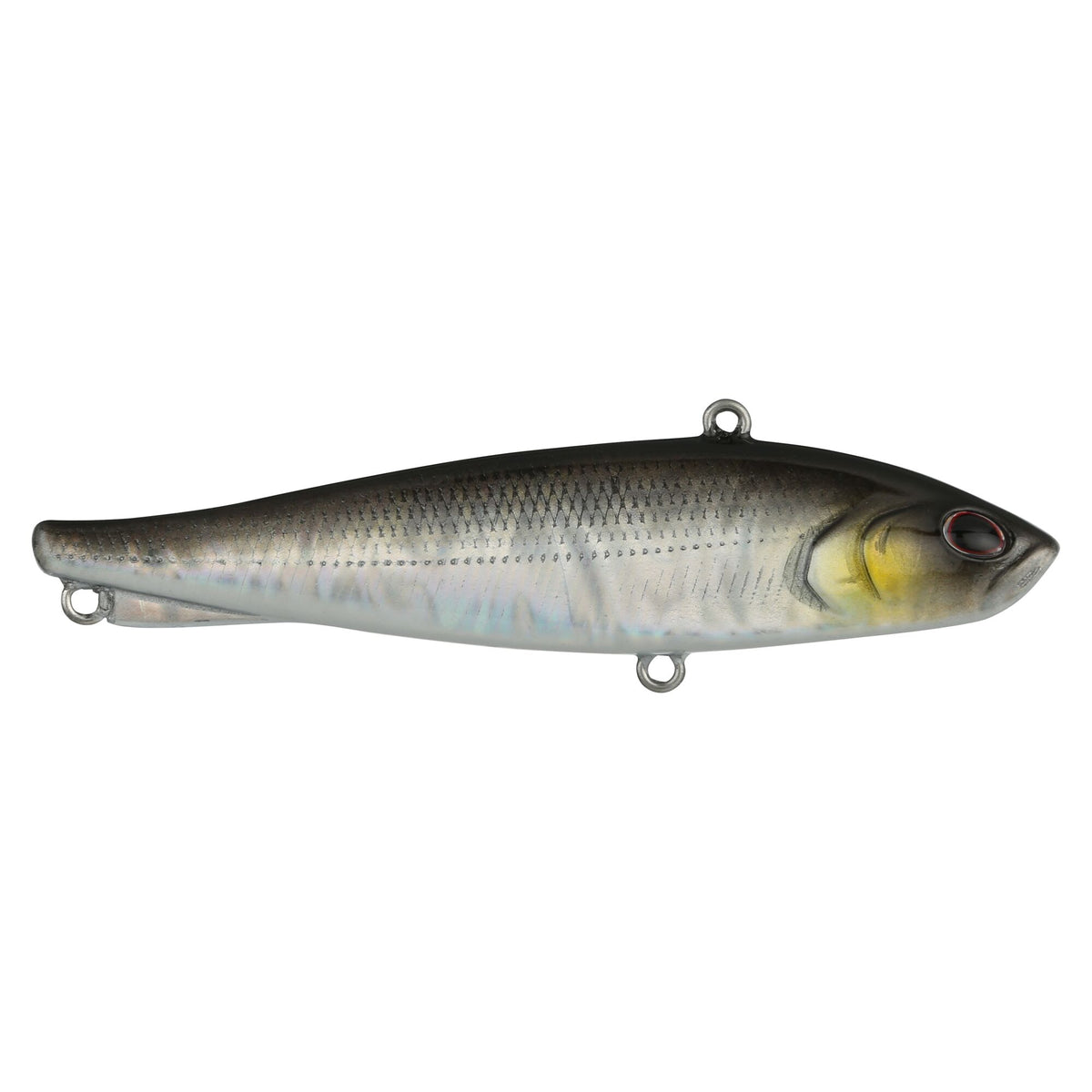 Berkley Ripfish