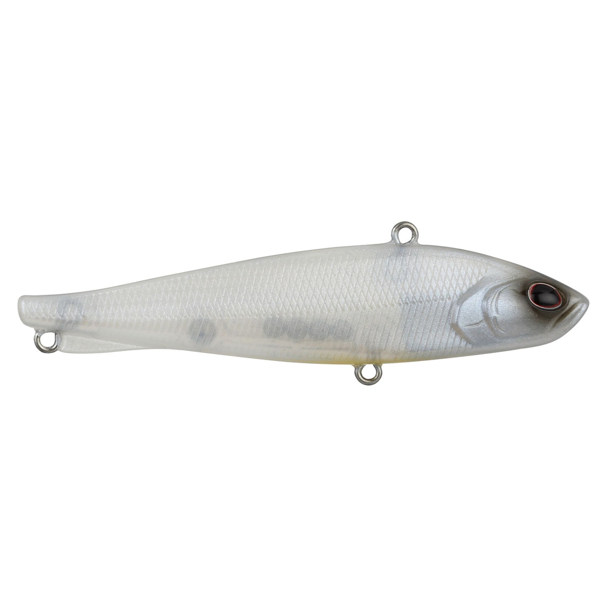 Berkley Ripfish