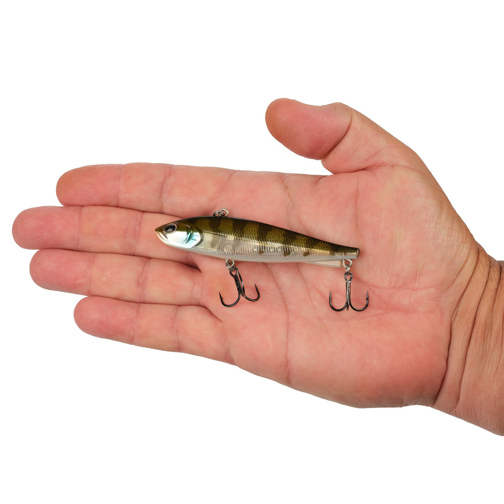 Berkley Ripfish