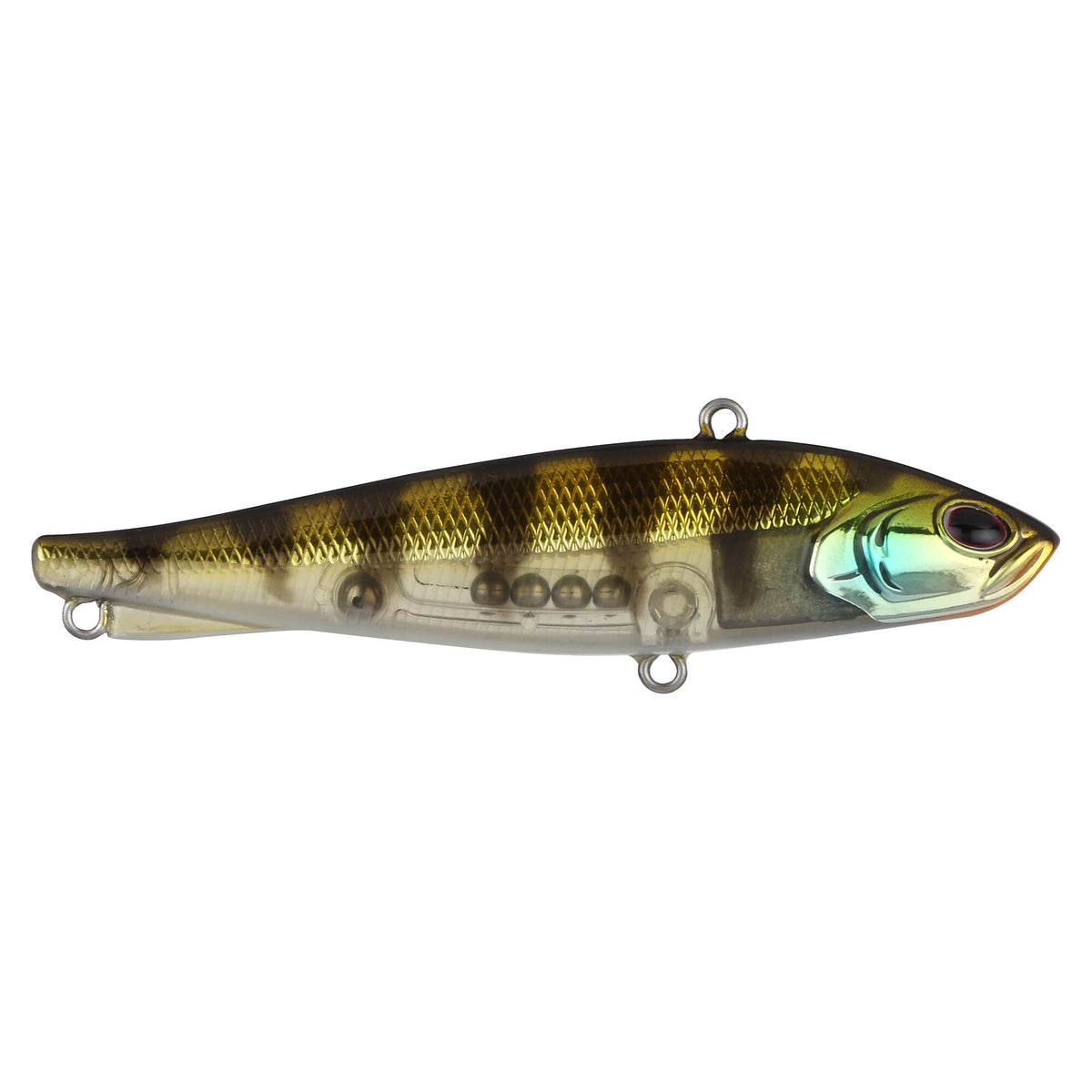Berkley Ripfish