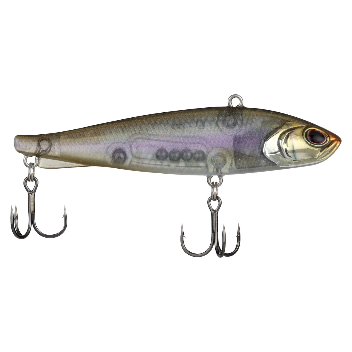 Berkley Ripfish