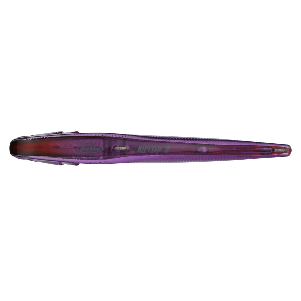 Berkley Ripfish