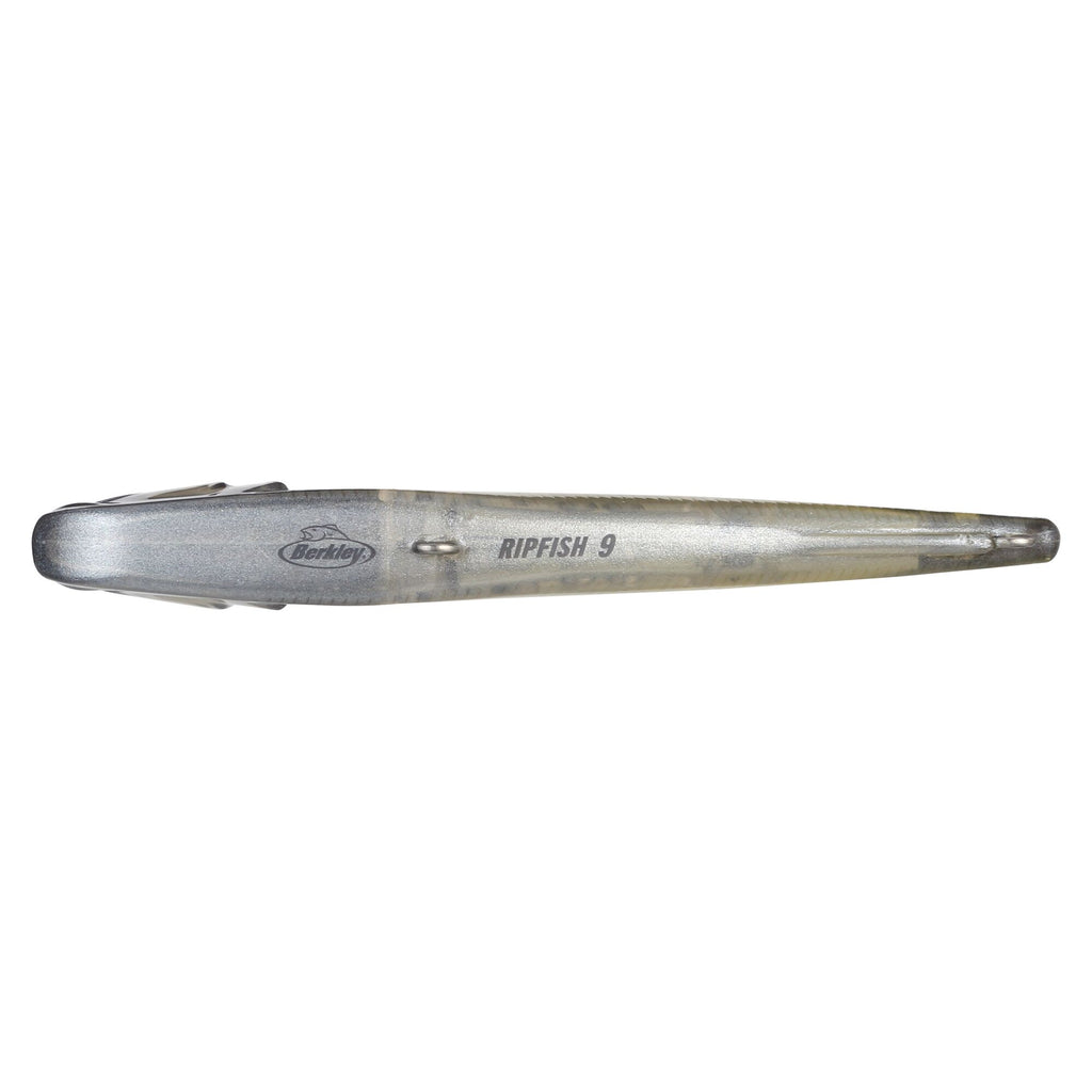 Berkley Ripfish