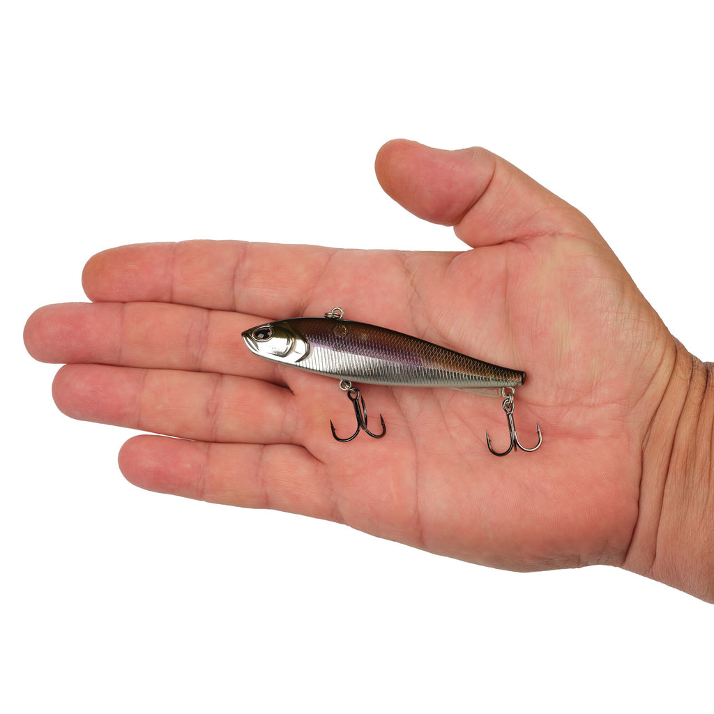 Berkley Ripfish