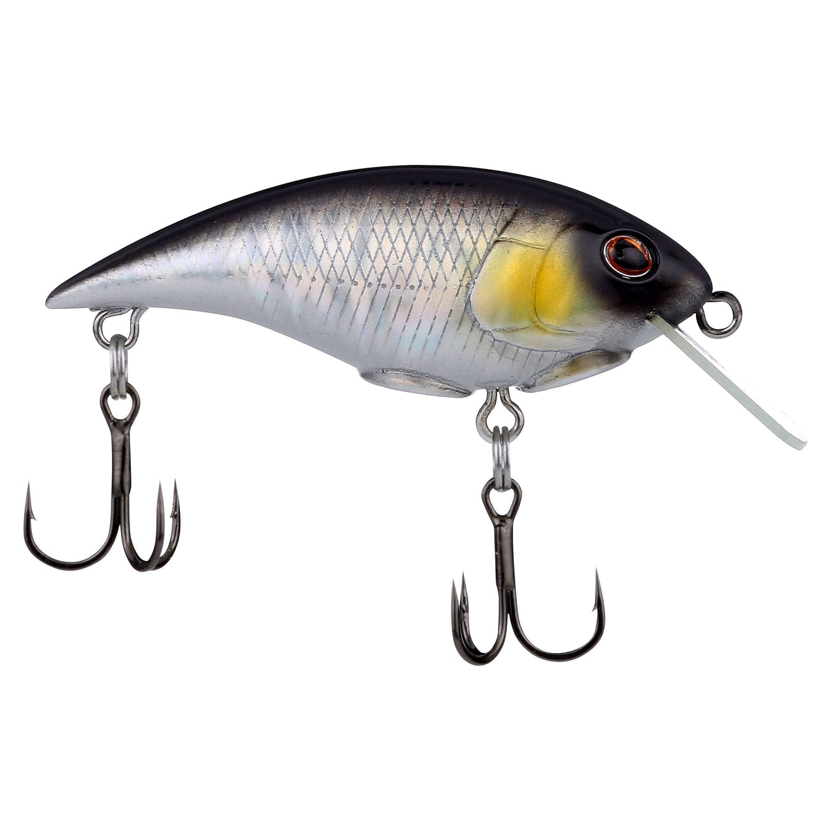 Berkley Shallow Money Badger