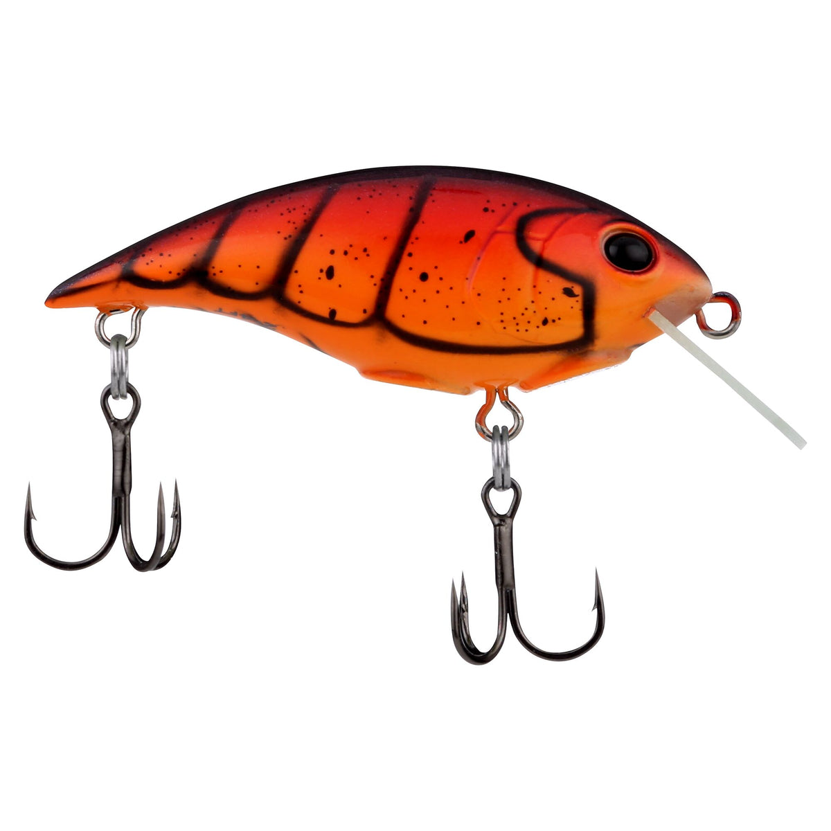 Berkley Shallow Money Badger