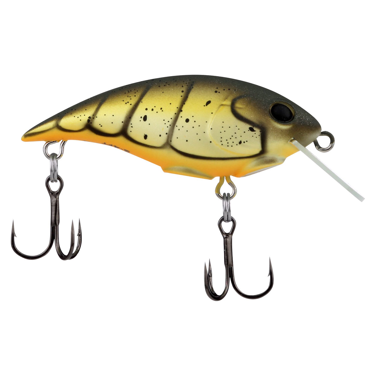 Berkley Shallow Money Badger