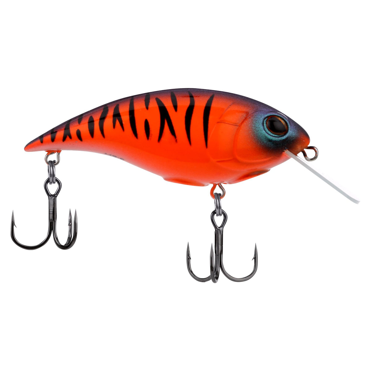 Berkley Shallow Money Badger