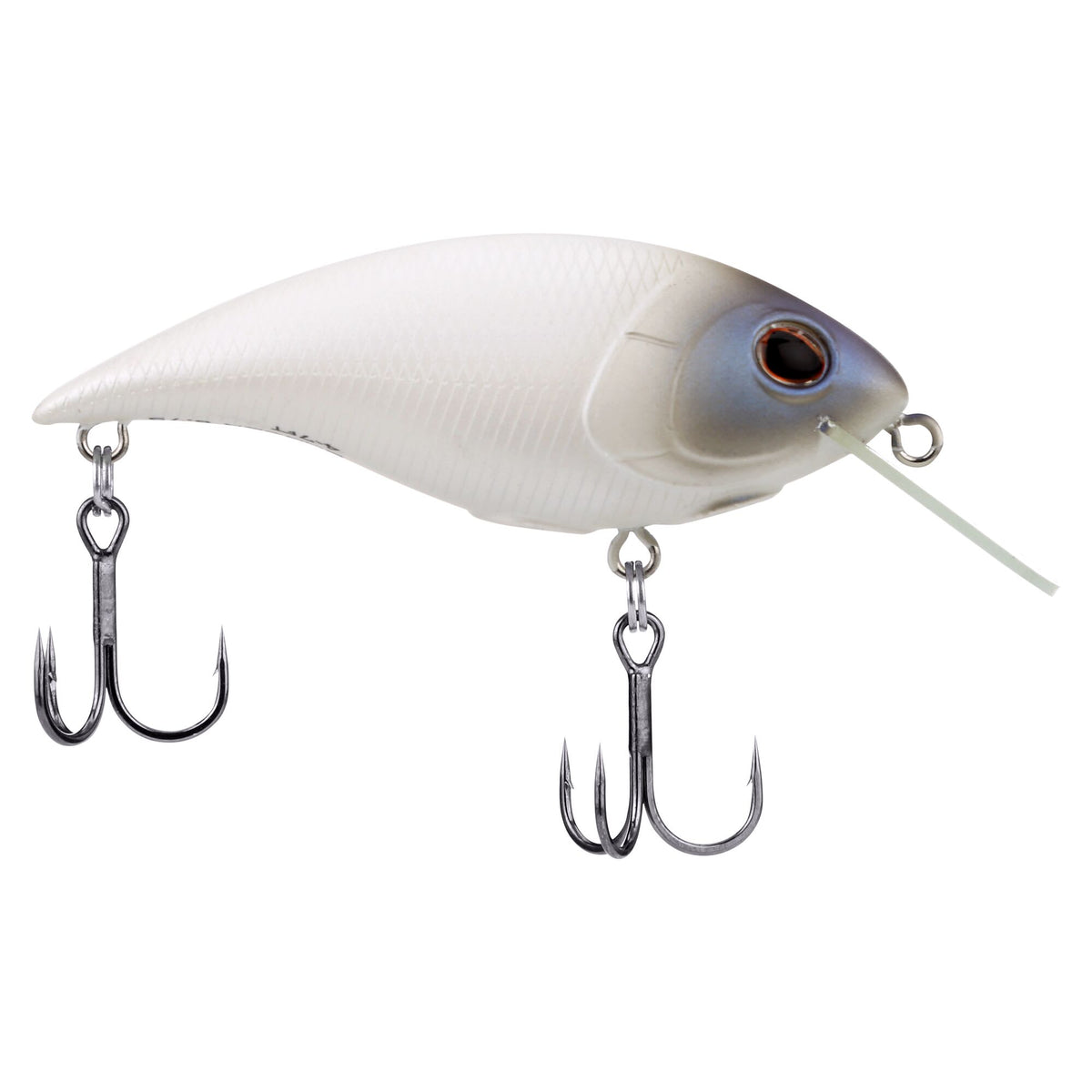 Berkley Shallow Money Badger