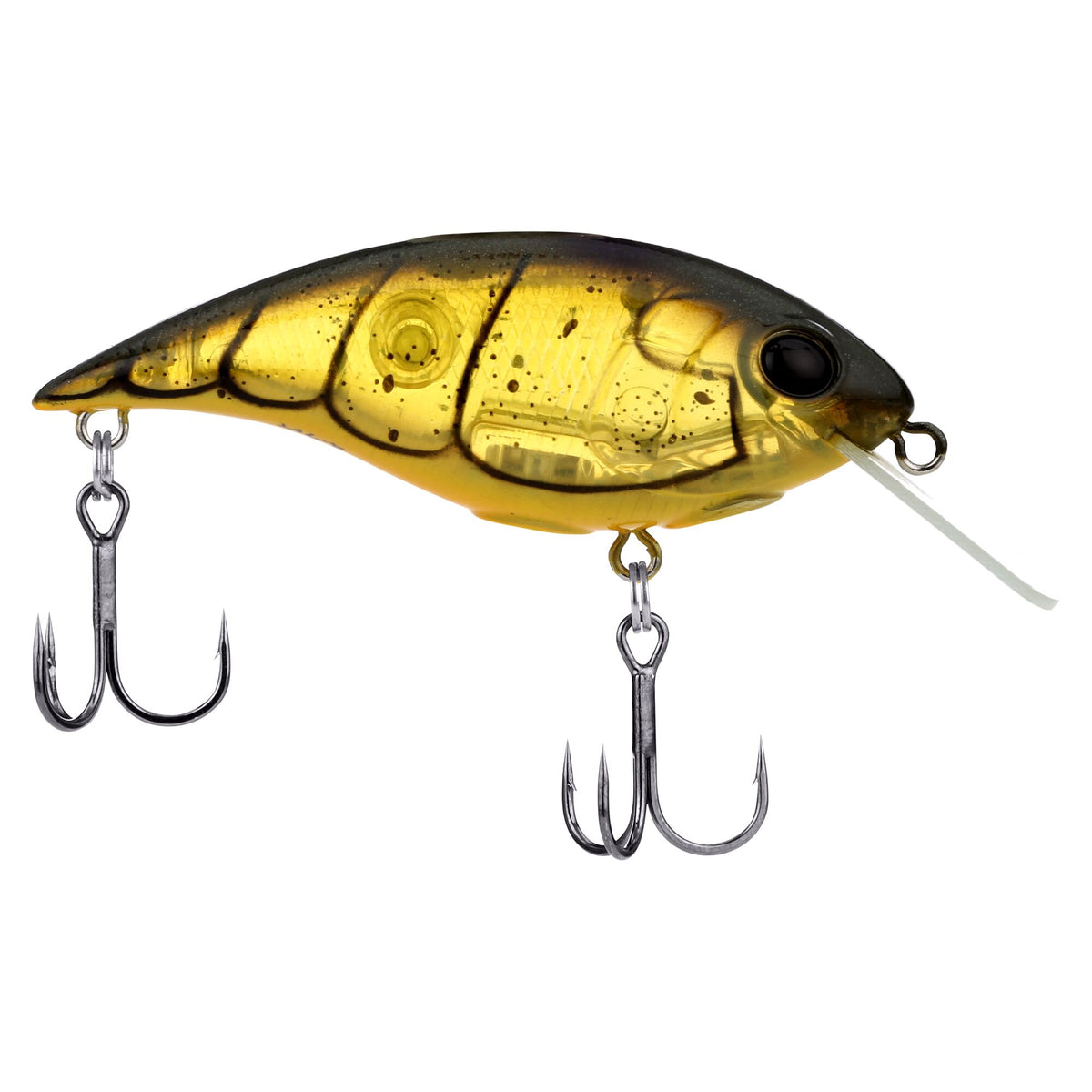 Berkley Shallow Money Badger