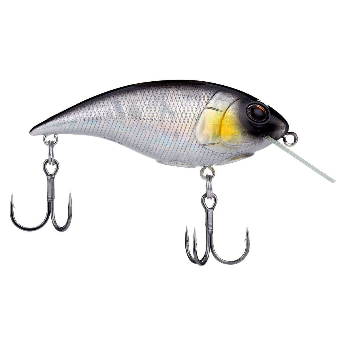 Berkley Shallow Money Badger