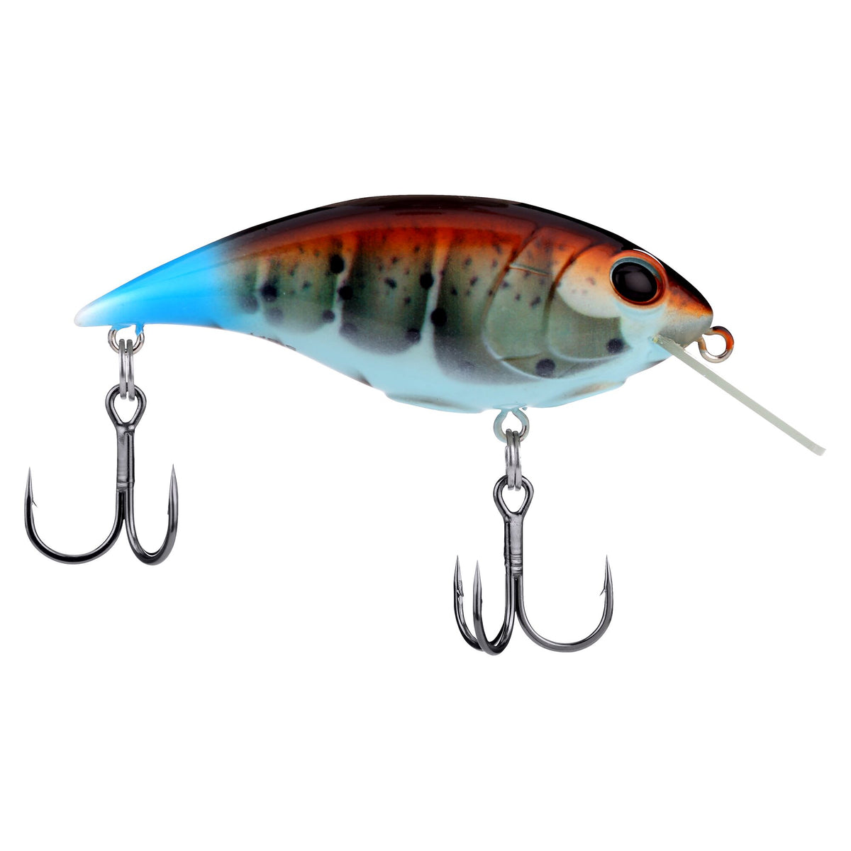 Berkley Shallow Money Badger