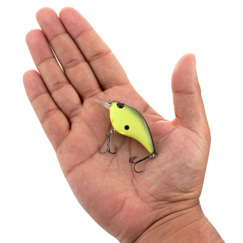 Berkley Clickin' Frittside™