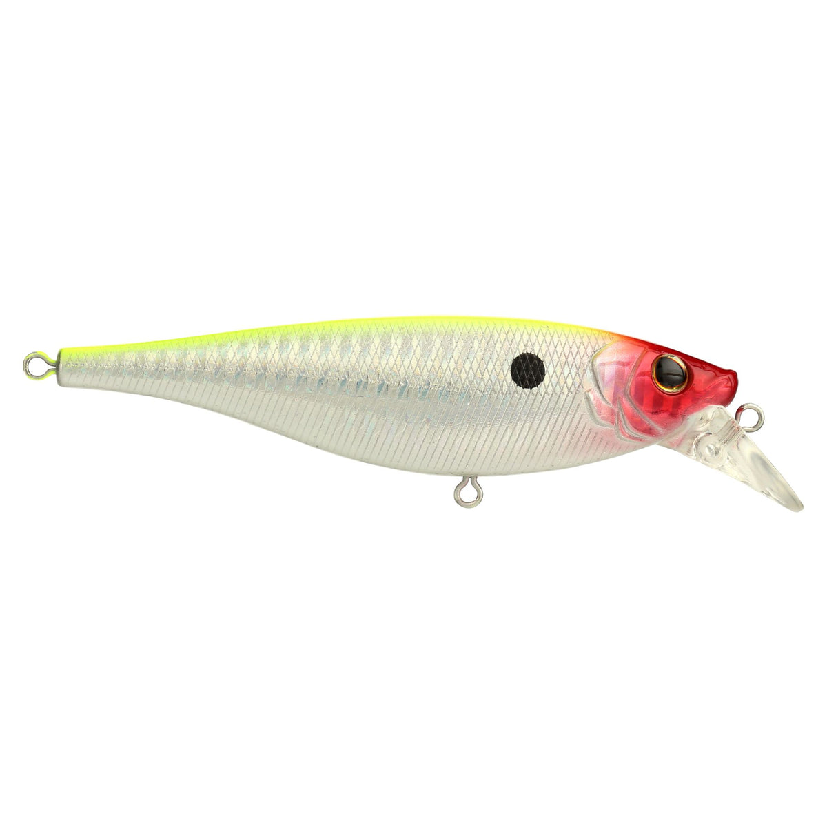 Berkley Juke Saltwater