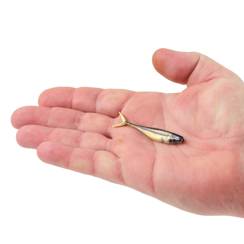 Berkley PowerBait® The Champ Minnow