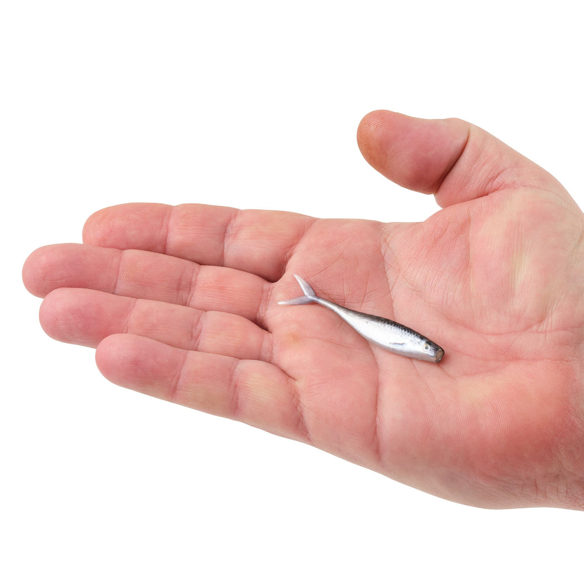 Berkley PowerBait® The Champ Minnow