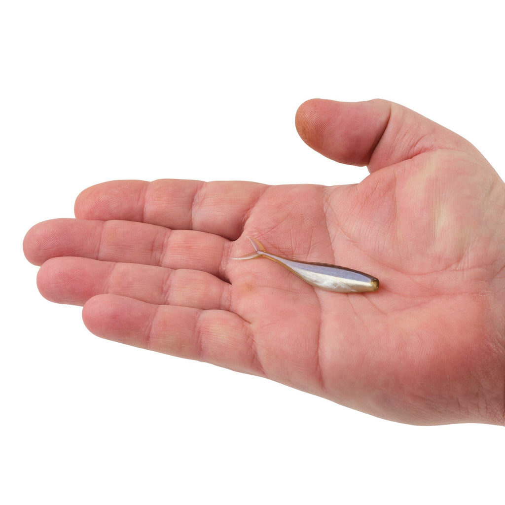Berkley PowerBait® The Champ Minnow