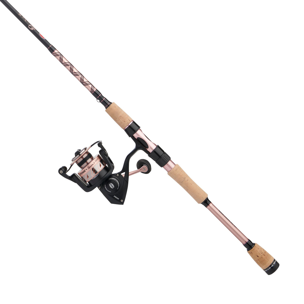 PENN Passion® II Spinning Combo