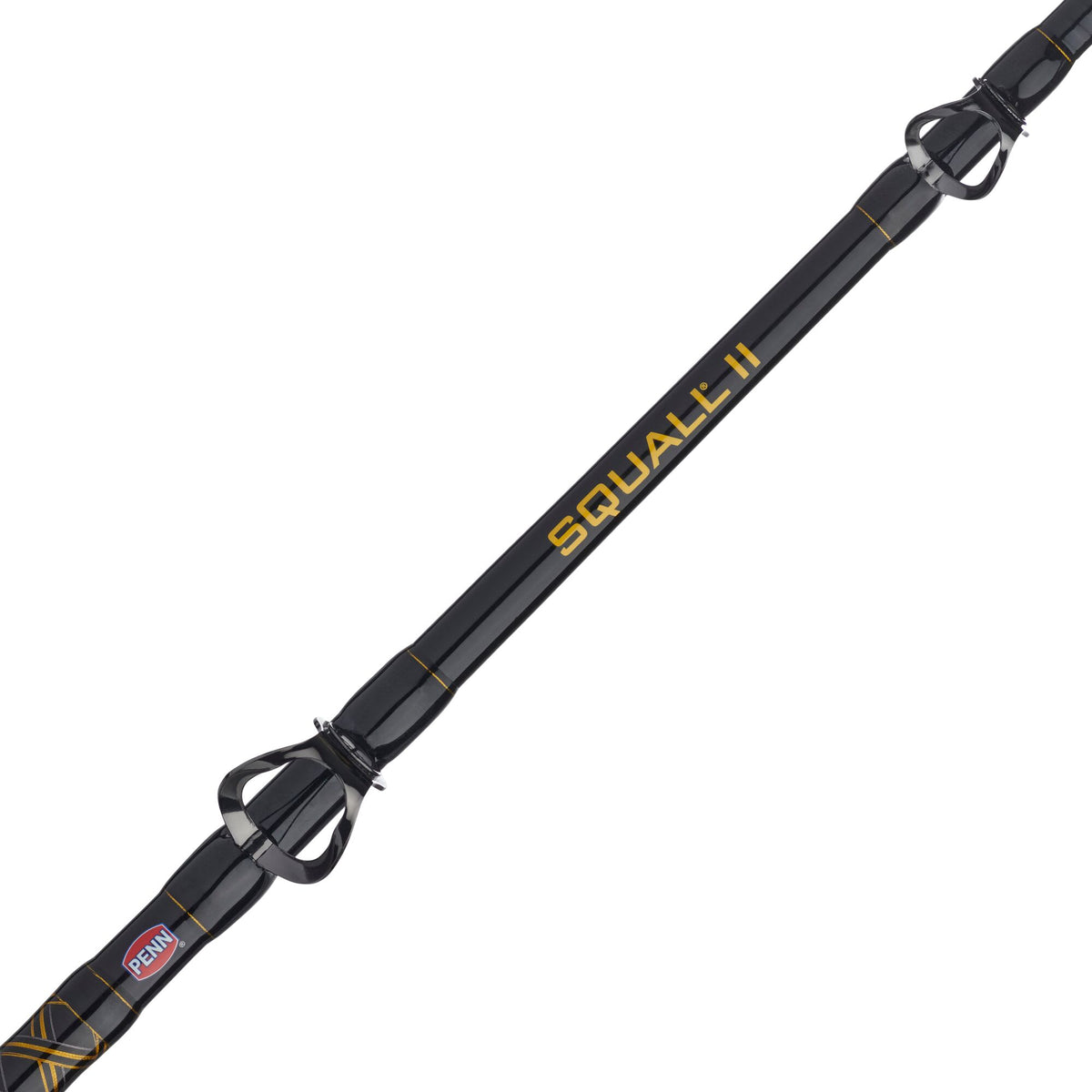 PENN Squall® II Level Wind Conventional Combo