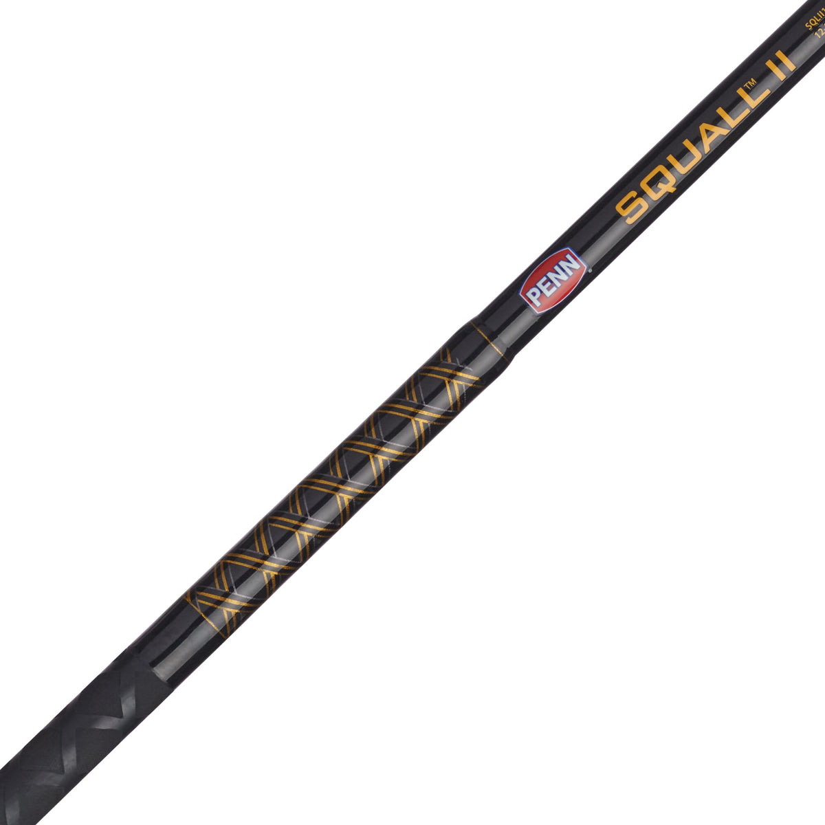 PENN Squall® II Star Drag Conventional Combo