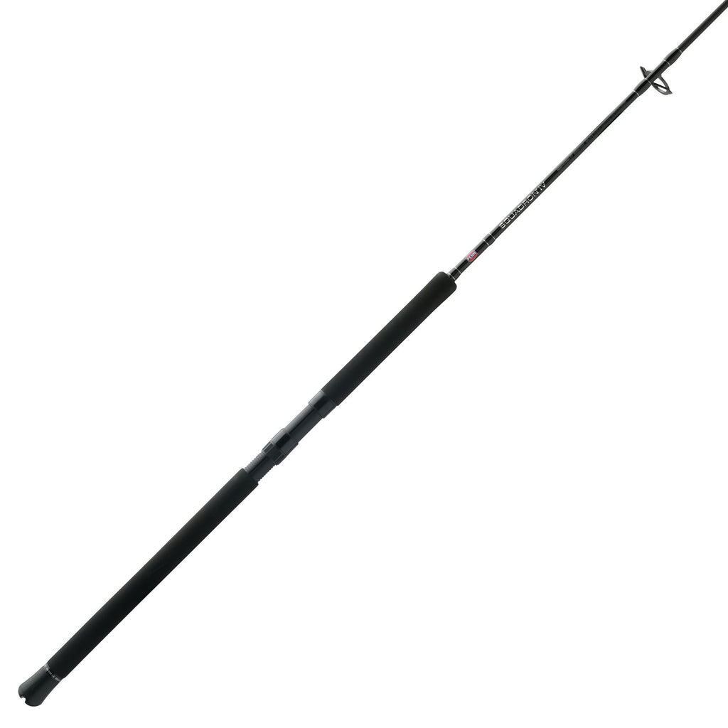 PENN Squadron® IV Jig Spinning Rod